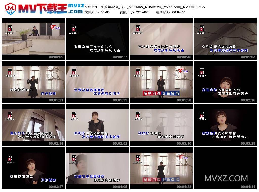 张秀卿-原因_台语_流行.MKV_MC501923